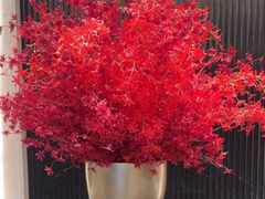 -御花园·粤菜·海鲜火锅(中山公园店)