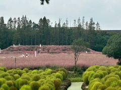 -嘉北郊野公园