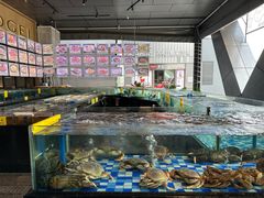 -老伙记海鲜码头(北滘店)