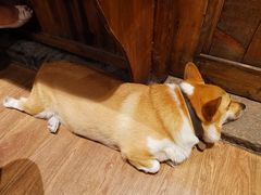 -阿木舂记·特色小吃(平江路店)