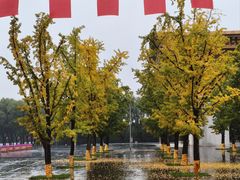 -法门文化景区-合十舍利塔