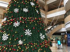 -成都天府丽都喜来登饭店