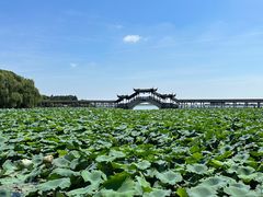 -观桥阁(锦溪店)