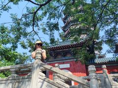 -焦山景区-万佛塔