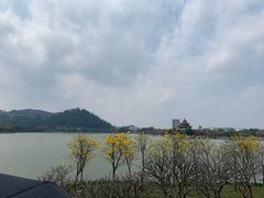 -顺峰山公园