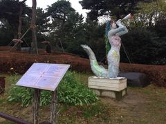 -海云台海滩