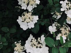 -新江湾城公园