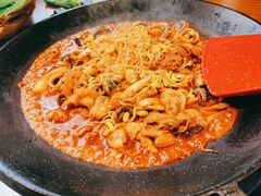 八爪鱼微辣-红辣椒八爪鱼特色韩国料理