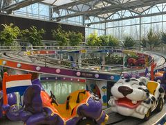 -南宫五洲植物乐园