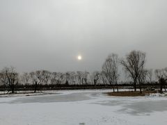 -大兴滨河森林公园