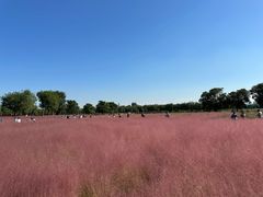 -汉长安城未央宫国家考古遗址公园