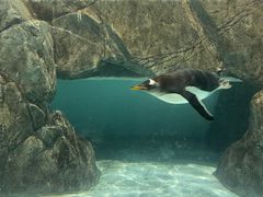 -成都浩海立方海洋公园