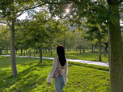 -风云岭森林公园