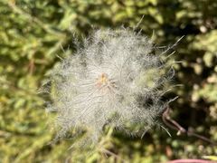 -海子诗歌陈列馆