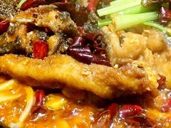 -老板恋上鱼(恒隆广场店)