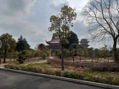 -南海禅寺