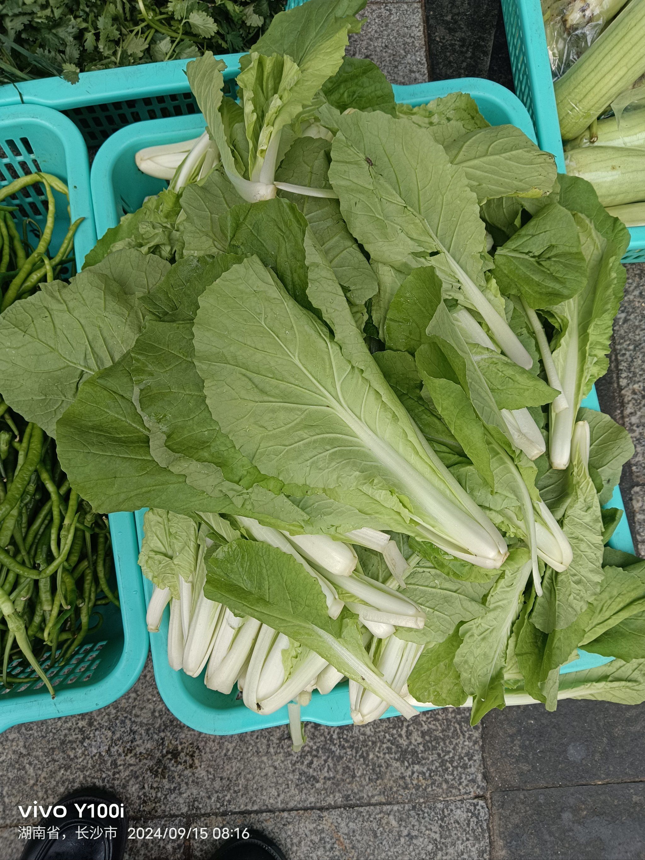 那么不妨前往宴东家餐厅品尝一下这道独特的原生态小白菜吧!