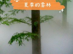 -北京植物园-展览温室