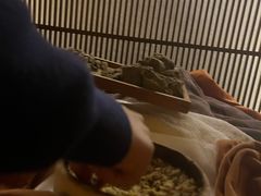 -端艾堂·SPA·艾灸(鸳鸯006店)
