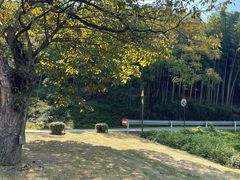 -南北湖风景区