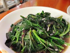 苋菜-全乐鱼馆·淳牌有机鱼直营店