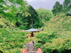 -醍醐寺