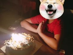 -卡漫莫尼蛋糕(徐汇店)