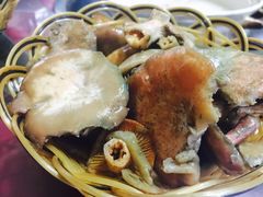 -山菌美食苑(振兴路店)