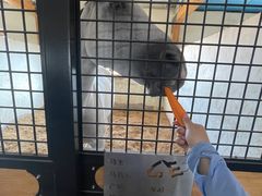 -北京群众马术培训基地