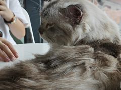 -怪兽屋·羊驼·猫咖·狗咖(俊华广场店)