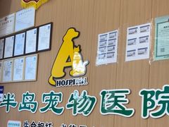 -半岛宠物医院24小时·内窥镜·牙科·碎石中心(府城大道店)