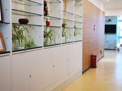 -瑞尔齿科(上海长风大悦城店)