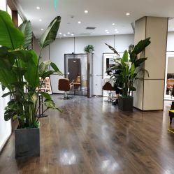 -崇尚GAVIN STYLE臻选