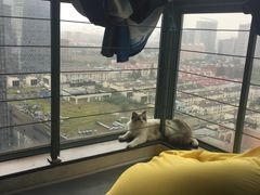 -零纪元VR体验馆·桌游(黄浦店)