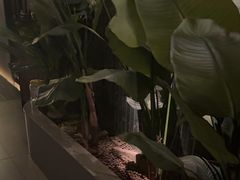 -涟LIAN·泰式按摩·MASSAGE·SPA(华强北店)