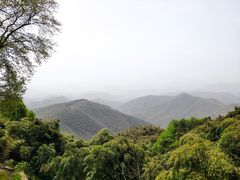 -莫干山风景区