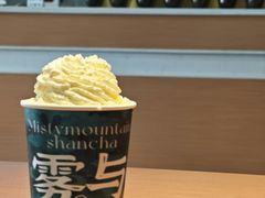 -雾与山茶(大禹城店)