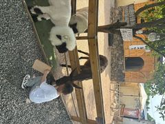 -HERRE·FARM 赫尔露营农场·团建聚会包场