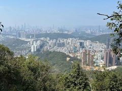 -梧桐山风景名胜区