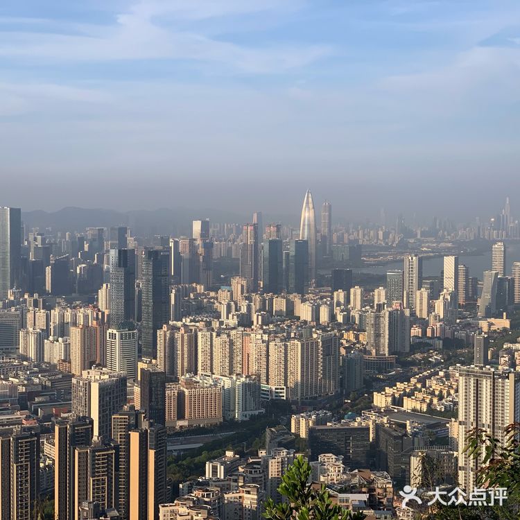 深圳南山公园登山攻略📒📒