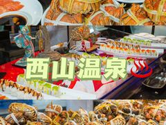 -陆地游轮西山温泉号
