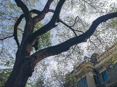 -张学良旧居陈列馆(大帅府)