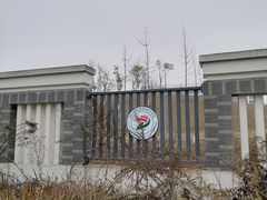 -约翰·菲茨杰拉德·肯尼迪国际机场