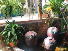 -Jungle Kitchen