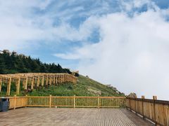 -白草畔自然风景区