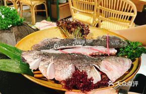 Freshwater King - Snakehead Fish