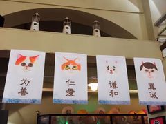 -猫咪博物馆(顶澳仔猫街店)