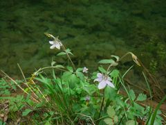 -山西通天峡景区