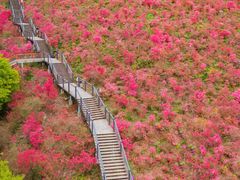 -瑞安圣井山景区