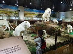 -陕西自然博物馆